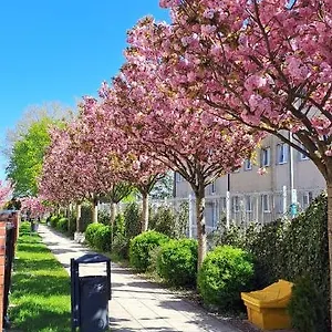  Apartament Al-dom Wisniowy Ogrod Z Garazem Polska